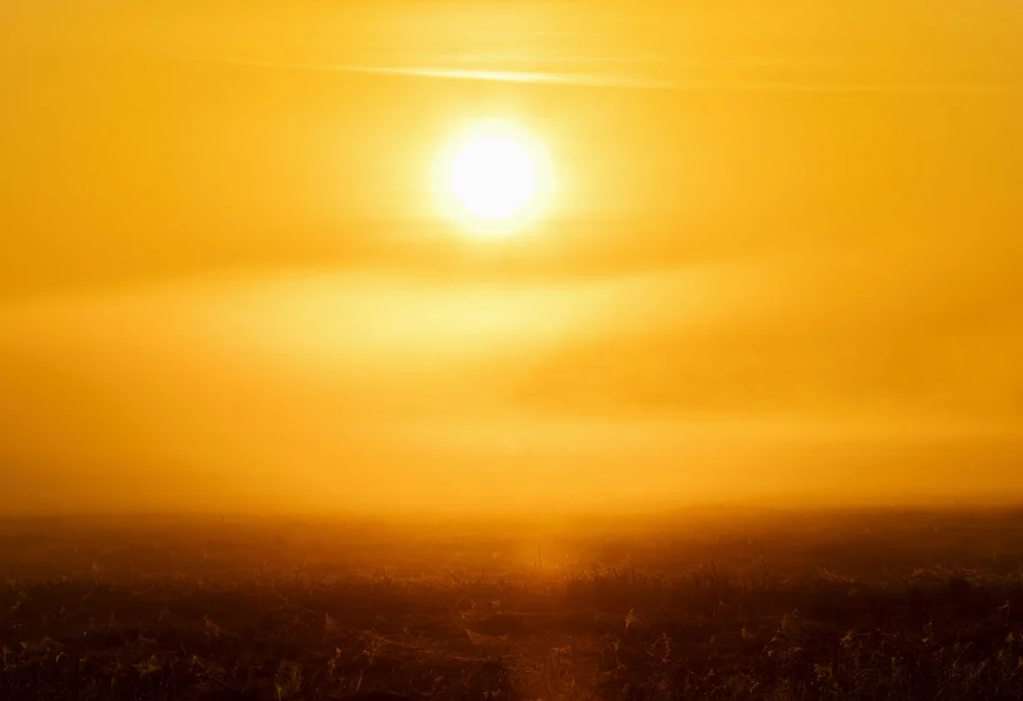 climate action